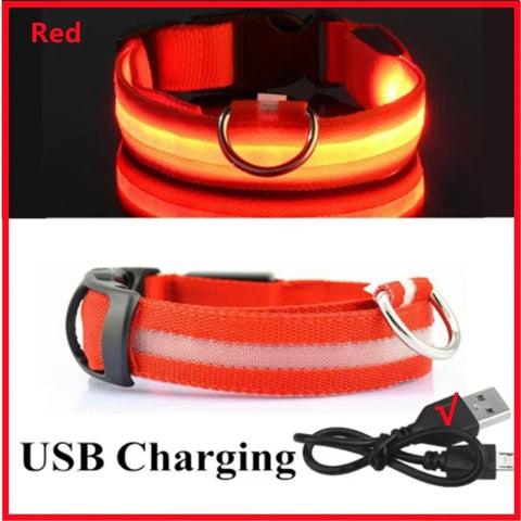 Detachable LED Pet Safety Collar