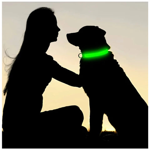Detachable LED Pet Safety Collar
