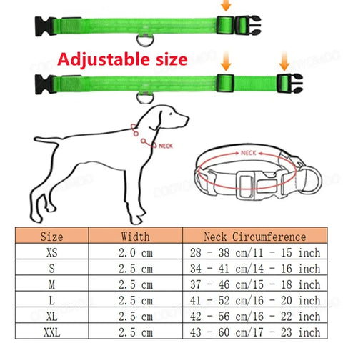 Detachable LED Pet Safety Collar