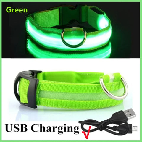 Detachable LED Pet Safety Collar