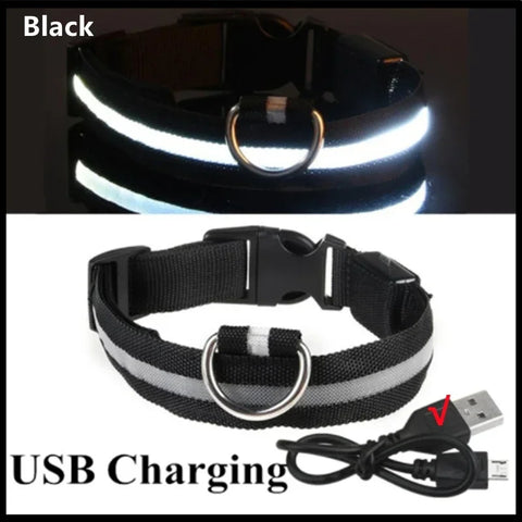 Detachable LED Pet Safety Collar