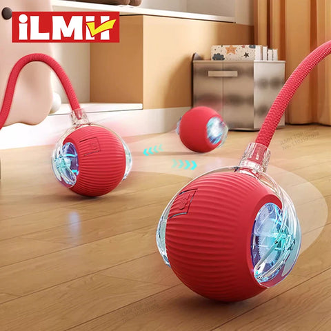 Tail Rolling Cat Ball