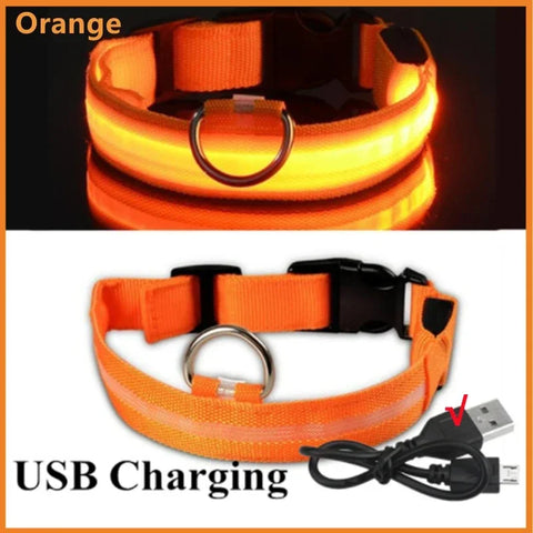 Detachable LED Pet Safety Collar